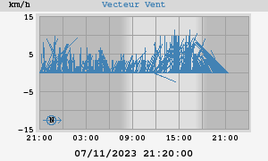 Wind Vector