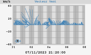 Wind Vector