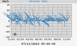 Wind Vector